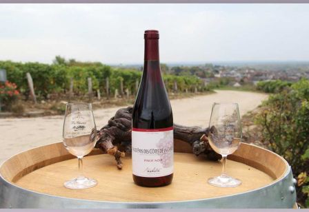 Vin de Pays des ctes de La Charit IGP, cpage Pinot Noir, Domaine Les Chaumes, SCEV Jean-jacques BARDIN, Pouilly-sur-Loire