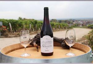 Sancerre rouge élevé en fût  2022 AOC