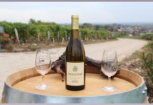 Pouilly fumé Vautrepain 2023 AOC